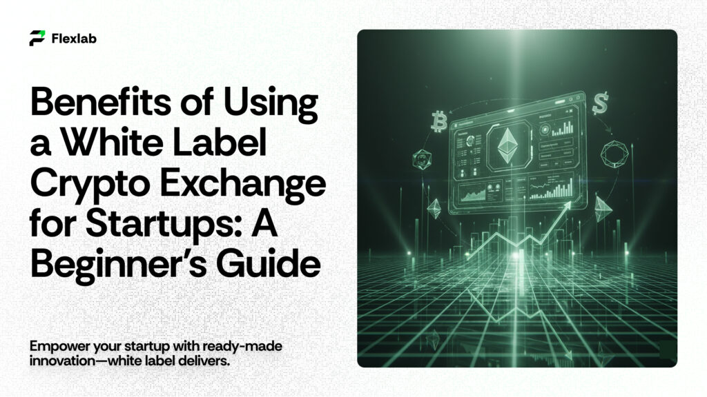 How Does White Label Crypto Exchange Help Startups?