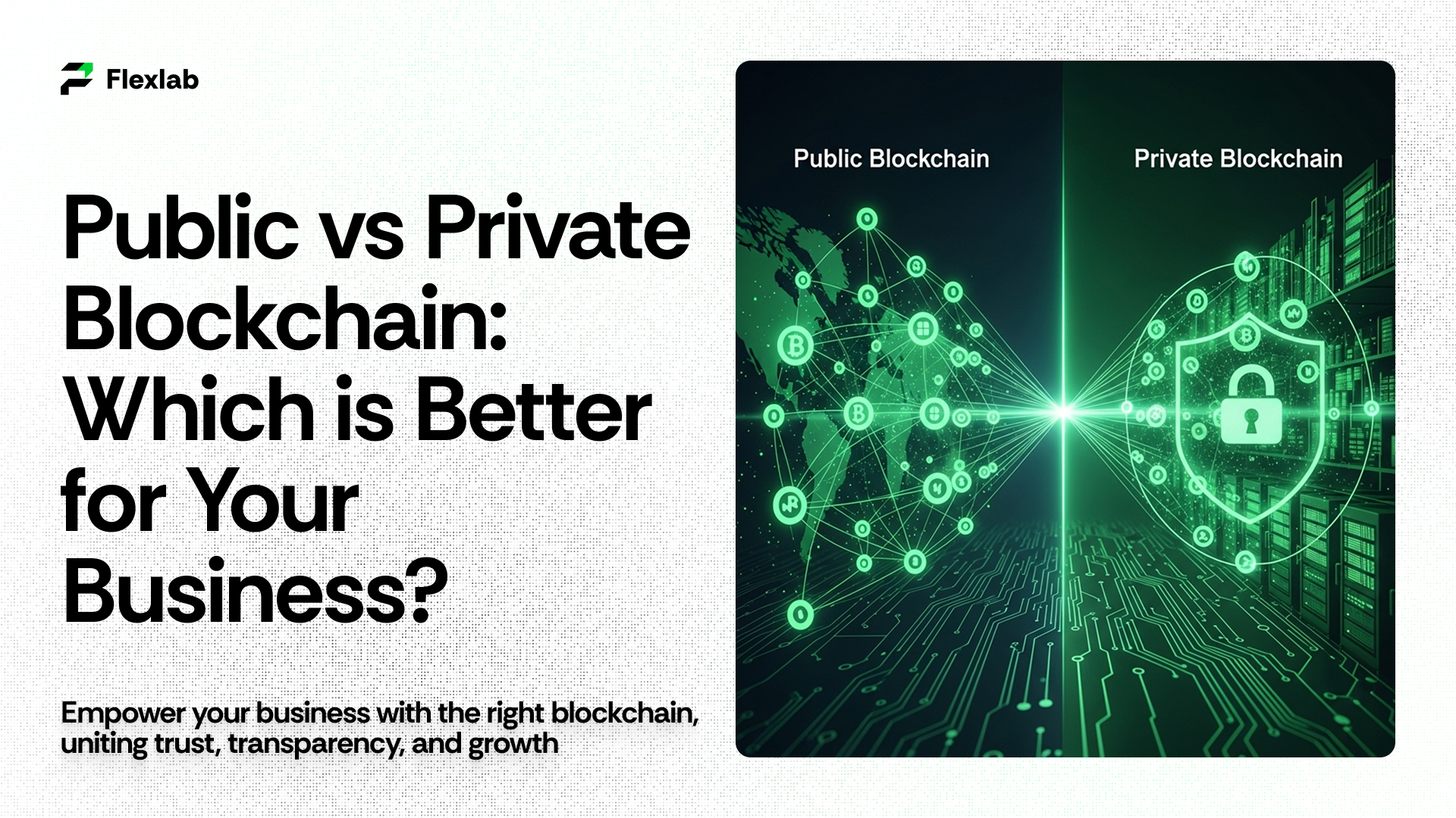 Public vs Private Blockchain: Which is Better for Business?