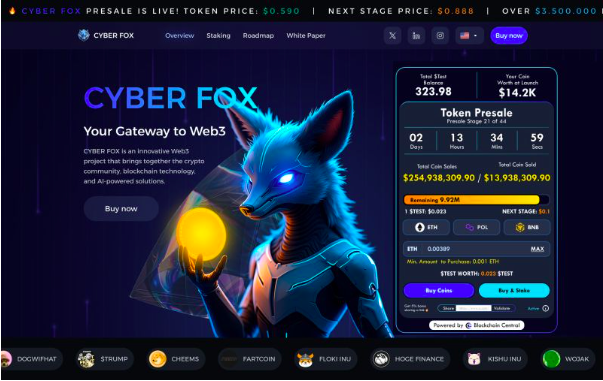 Web3Payhub Presale Token Platform