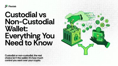 Custodial vs Non Custodial Wallet: Which One Suits You?
