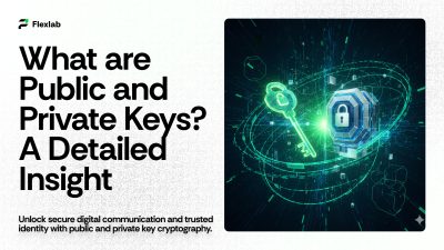 What Are Public and Private Keys? A Guide for Non-Tech Users